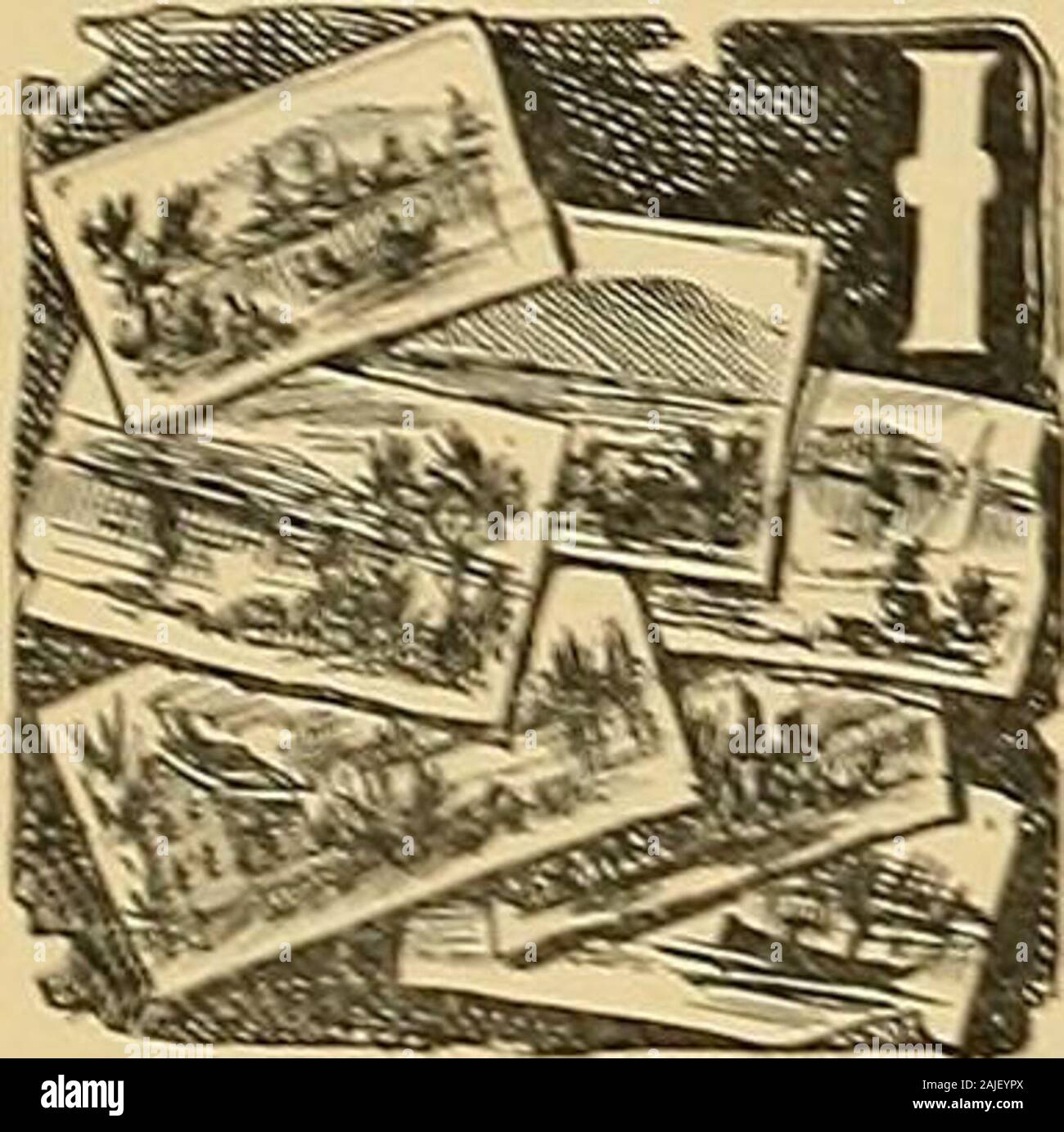 Guide Book To The Megantic Spider And Upper Dead River Regions Of The Province Of Quebec And State Of Maine Not Less Thanten Ponds Namely Big Island Little Island Eock
