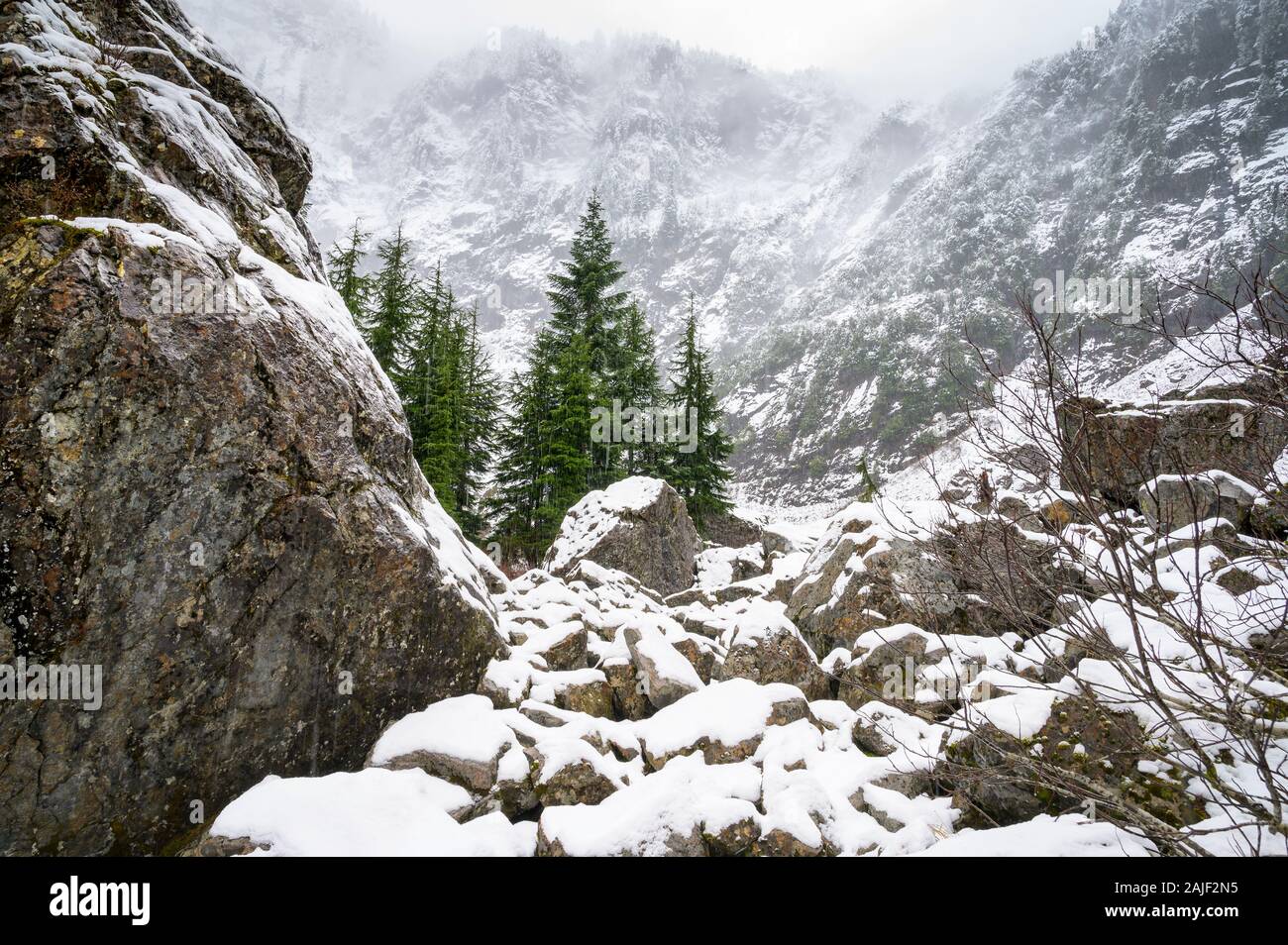 Foggy Mountain Trees and Boulders With Snow Stock Photo