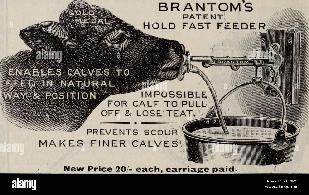 The journal of the Ministry of Agriculture. . MEAt , ftor CAUflS. Cash Price32/- per cwt.Carriage Paid. 2/- extra Scotlandand Ireland. All Milk is wanted for Human Food, so why use it for Caif Rearing when Brantoms Milk Meal will rear Splendid Calves ?—The Saving is now Really Wonderful. I 12 g^als. MILK are worth to-dayI 12 gals. MILK MEAL Gruel costNET SAVING Sold by all Chief Corn Merchants. brantoms PATENT HOLD FAST FEED I. MAKES. FINER CALVES New Price 20 - each, carriage paid. £15 10 O£ I 12 013 18 O This Feeder is otir new patentedimprovement on the CommonSense, Feeder the essential par Stock Photo