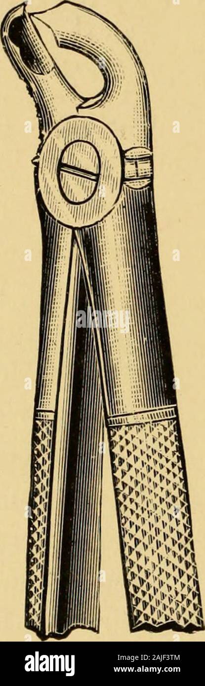 On extraction, with notes on the anatomy and physiology, of the teeth ...