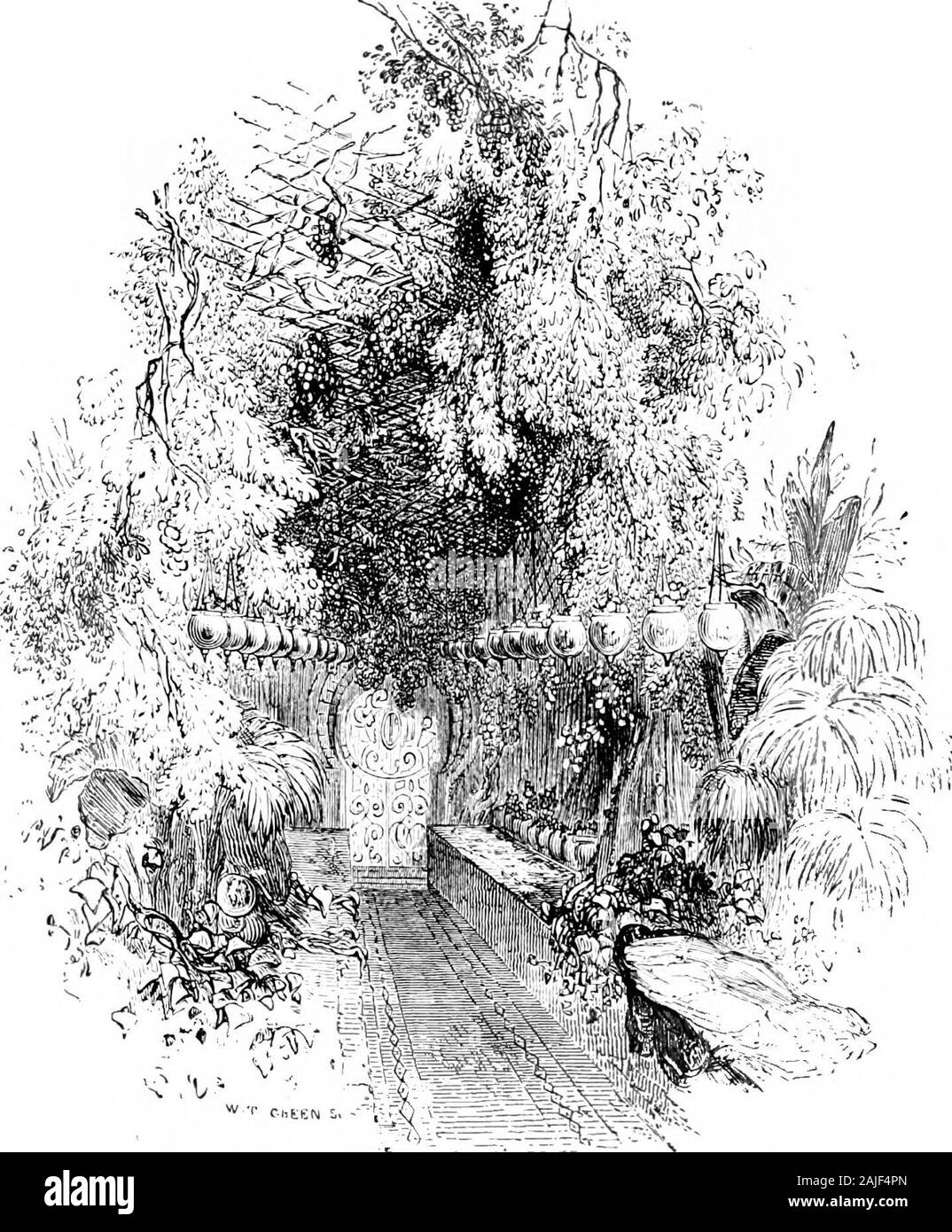 The thousand and one nights (Volume 1): commonly called, in England, the Arabian nights' entertainments . ked a little way, and destiny cast them amongthe gardens, and they came to a place which they found swept andsprinkled, with long mastabahs, and pots suspended filled with water,and over it was a covering of trellis-work of canes extending along thewhole length of a lane, at the upper end of which was the gate of agarden; but this was shut. And Noor-ed-Deen said to the damsel,By Allah, this is a pleasant place!—and she replied, O my master, letus sit down a while upon one of these mastabah Stock Photo
