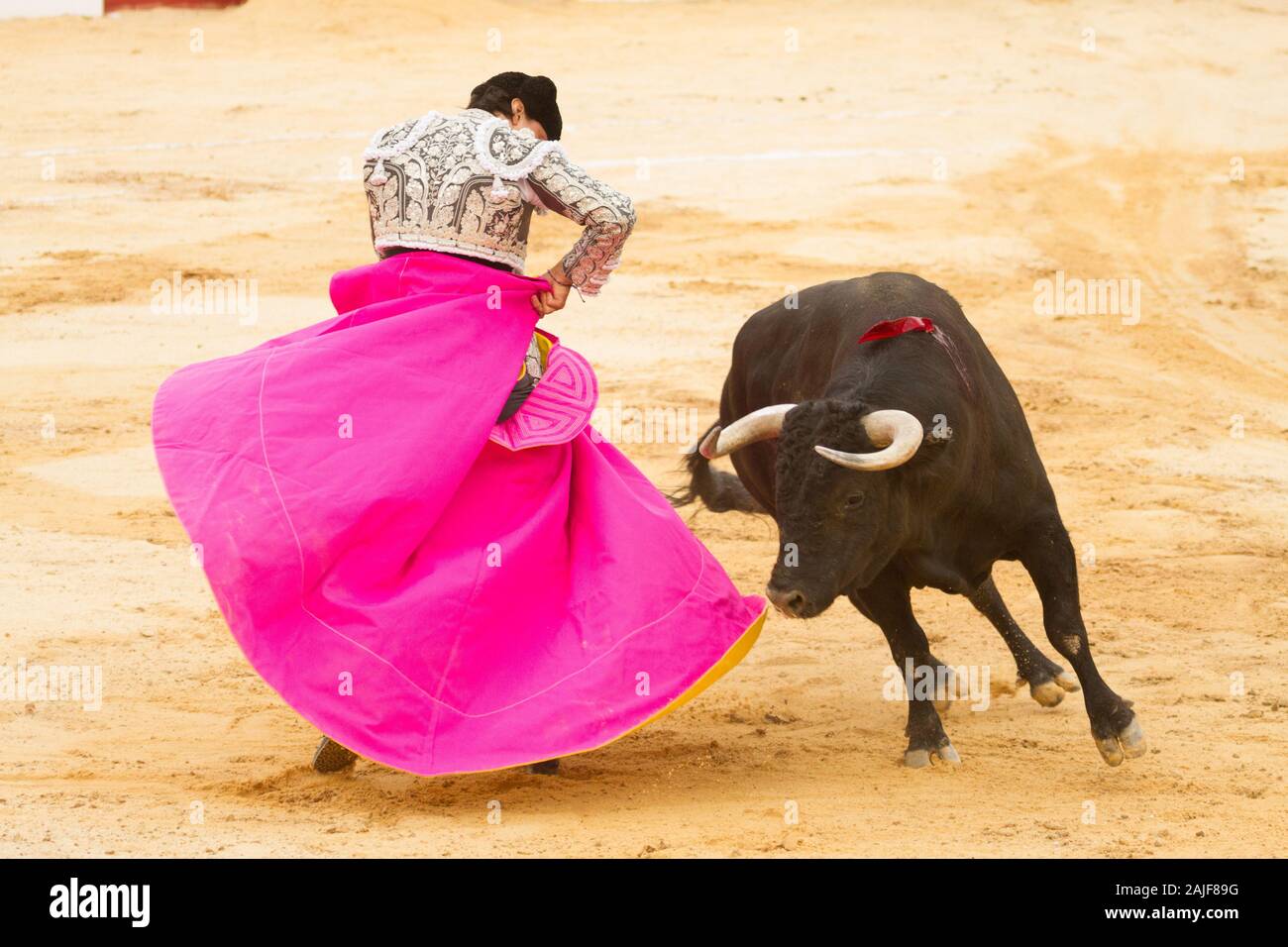 Bullfighter doing work Stock Photo Alamy