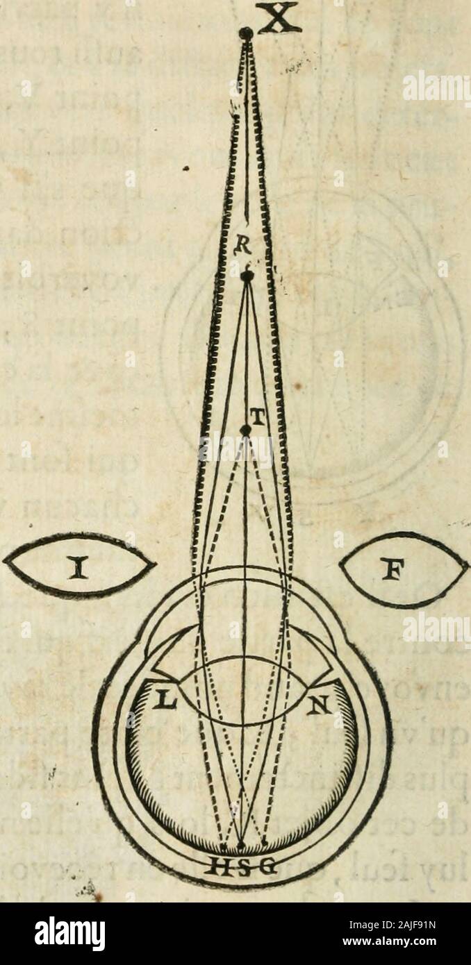 N Y Jets High Resolution Stock Photography And Images Alamy