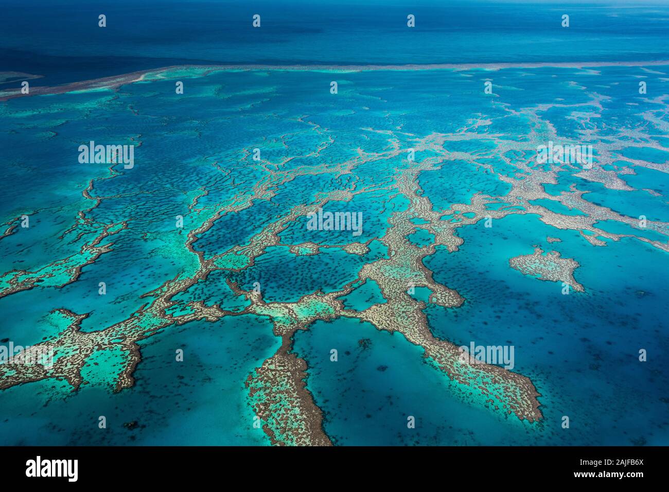 Famous Great Barrier Reef is named a natural world wonder and is highly endangered. Stock Photo