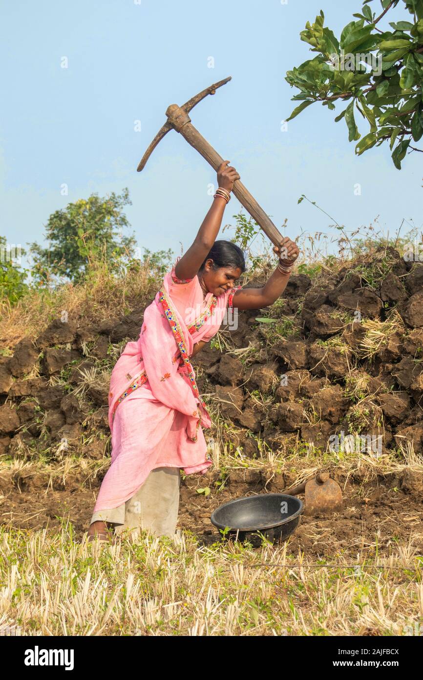 Bichhiya / India / December 11, 2019 : Farmers laborers constructing rams in the fields and using spade. Stock Photo