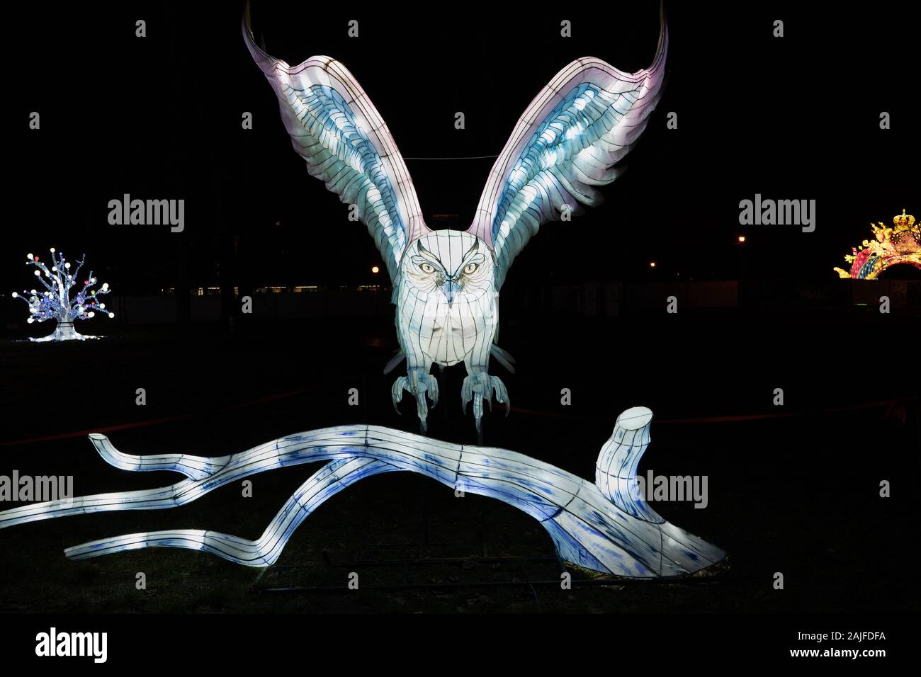 Warsaw, Poland December 16, 2019 Big owl landing on a tree at