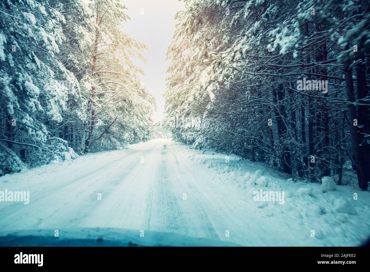 The road in the forest is covered with snow. Winter nature background ...