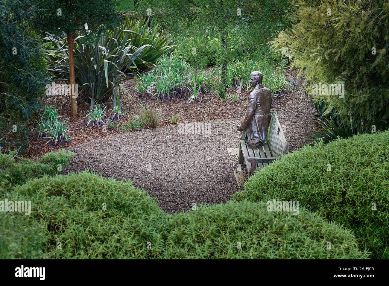 Statue of the young Charles Darwin in the Darwin garden at Christ college, university of