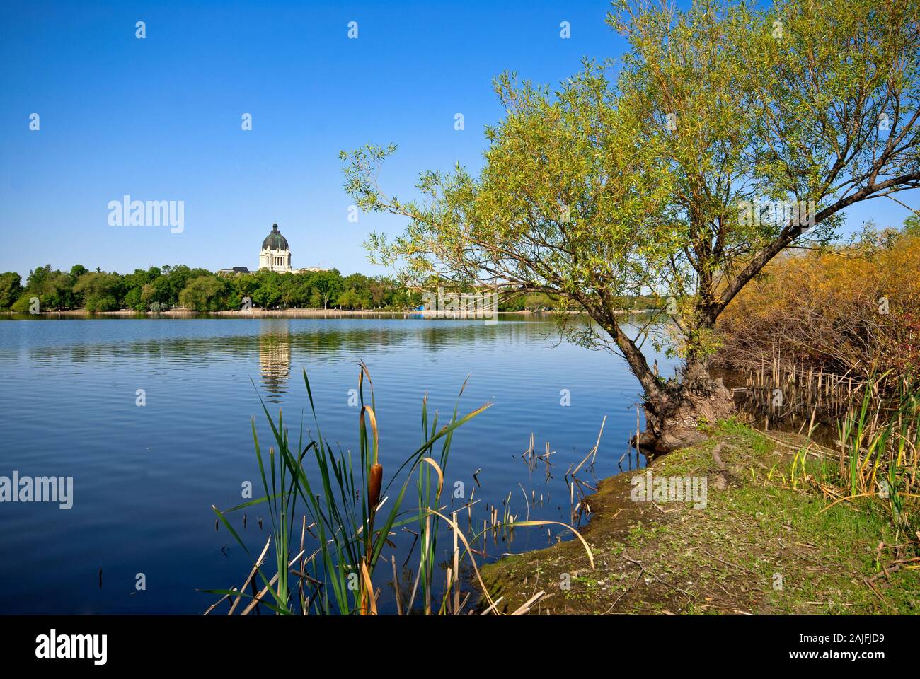 Wascana lake in Regina (in the background the dome of the Legislative Building), Saskatchewan, Canada Stock Photo