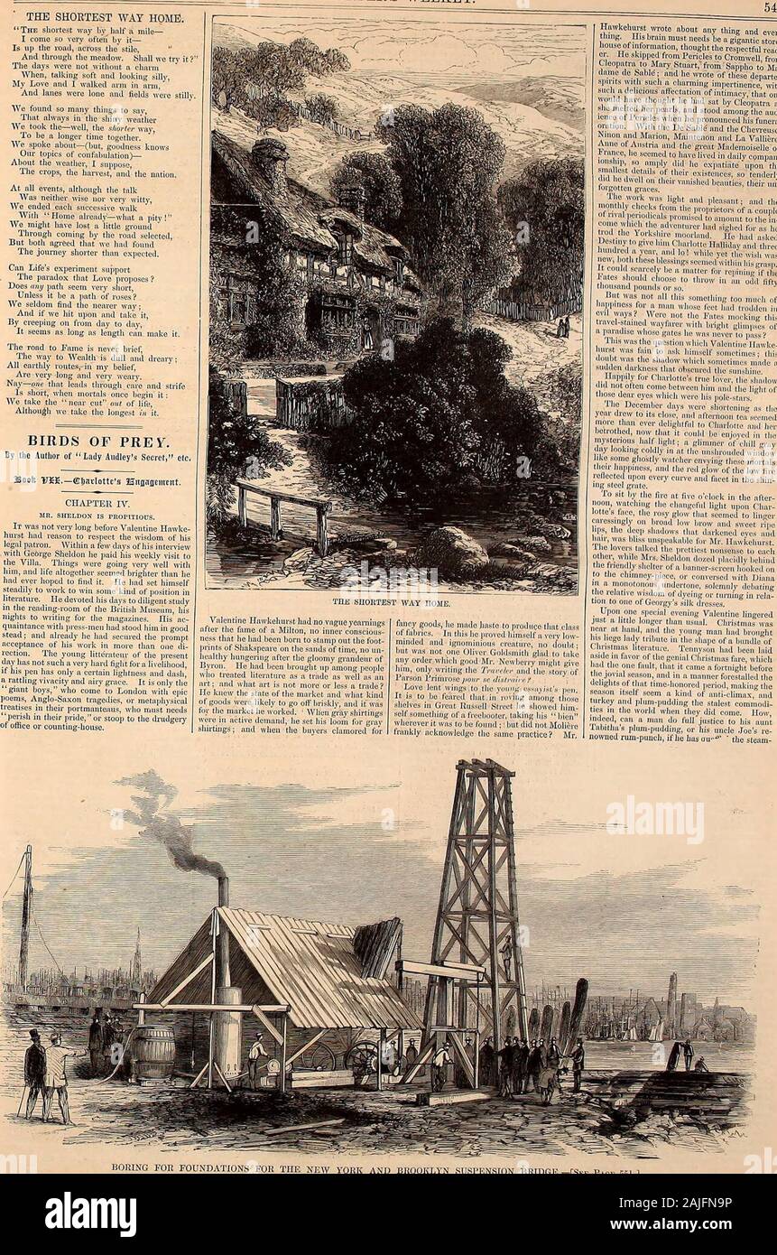 Page 9 Fsi High Resolution Stock Photography And Images Alamy