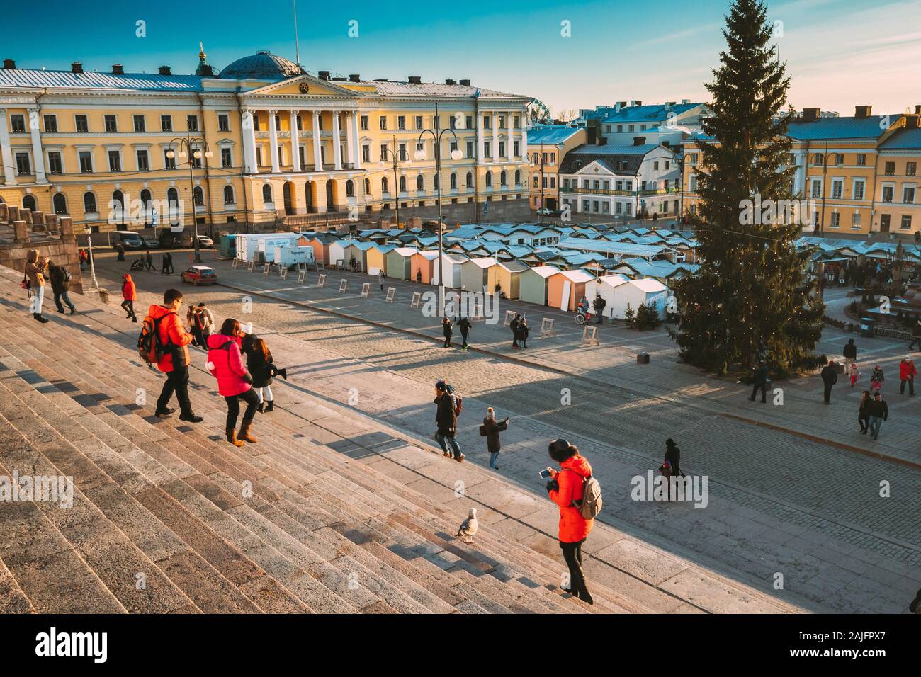 Helsinki, Finland - December 11, 2016: Woman Tourist Taking Picture Of Seagull Bird Near Christmas Xmas Market With Christmas Tree On Senate Square In Stock Photo