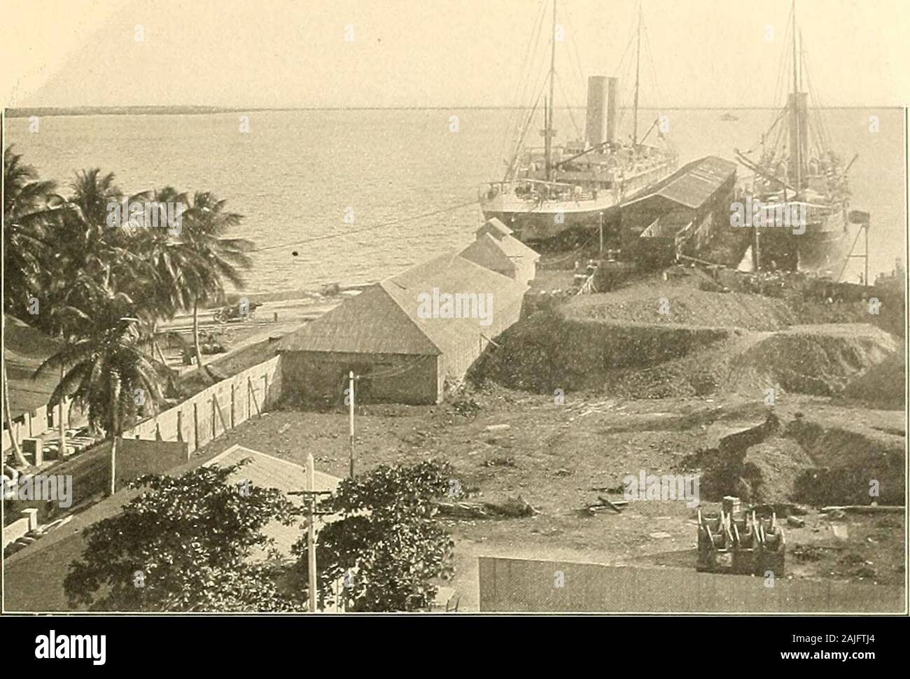 Panama and the canal in picture and prose .. . A YARD AND ITS TENANTS The huts are inconceivably small, a trifle larger than billiard tables CHARACTERISTICS OF THE NATIVE JAMAICAN 19. only about15,000 are listed in thecensus aswhite, andthe whitenessof a goodmany of theseis admittedlytarnished bya touch ofthe tarbrush.As in everycountry inwhich anysocial rela-tion betweenthe races isnot remorse-lessly tabooed—as it is inour southern states—the number of coloredpeople increases more rapidly than that of eitherblack or white. There were in 1834, 15.000 whitesout of the population of 371,000; the Stock Photo