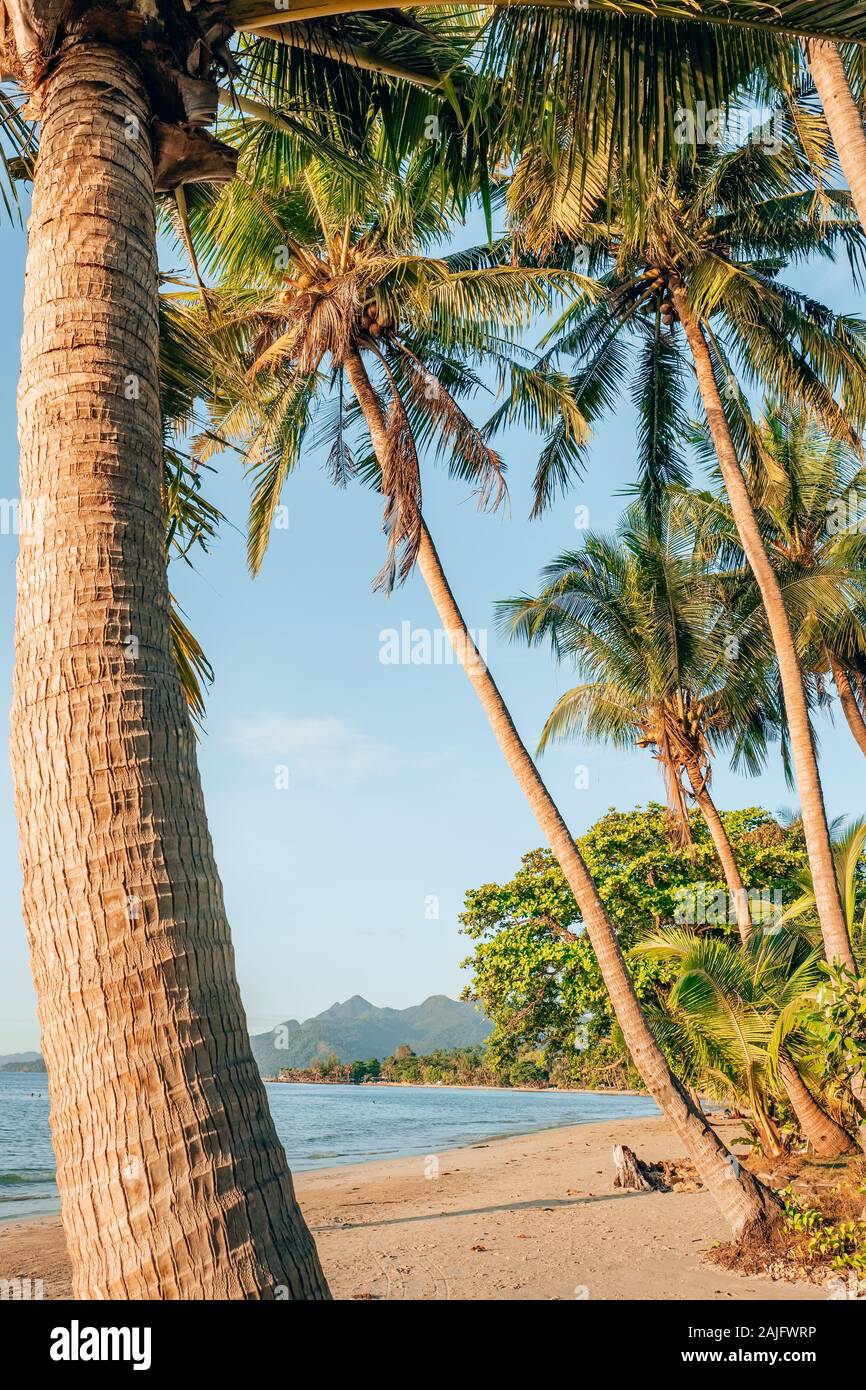 Tropical sunset beach palm hi-res stock photography and images - Alamy