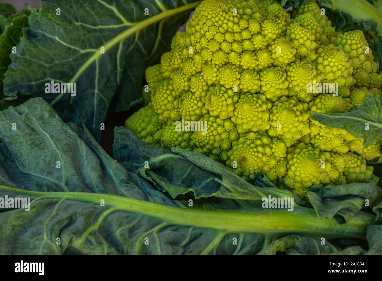 cauliflower is a vegetable of great importance for food Stock Photo