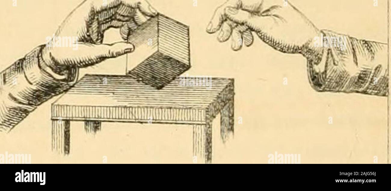 Governesses Stock Photos Governesses Stock Images Alamy
