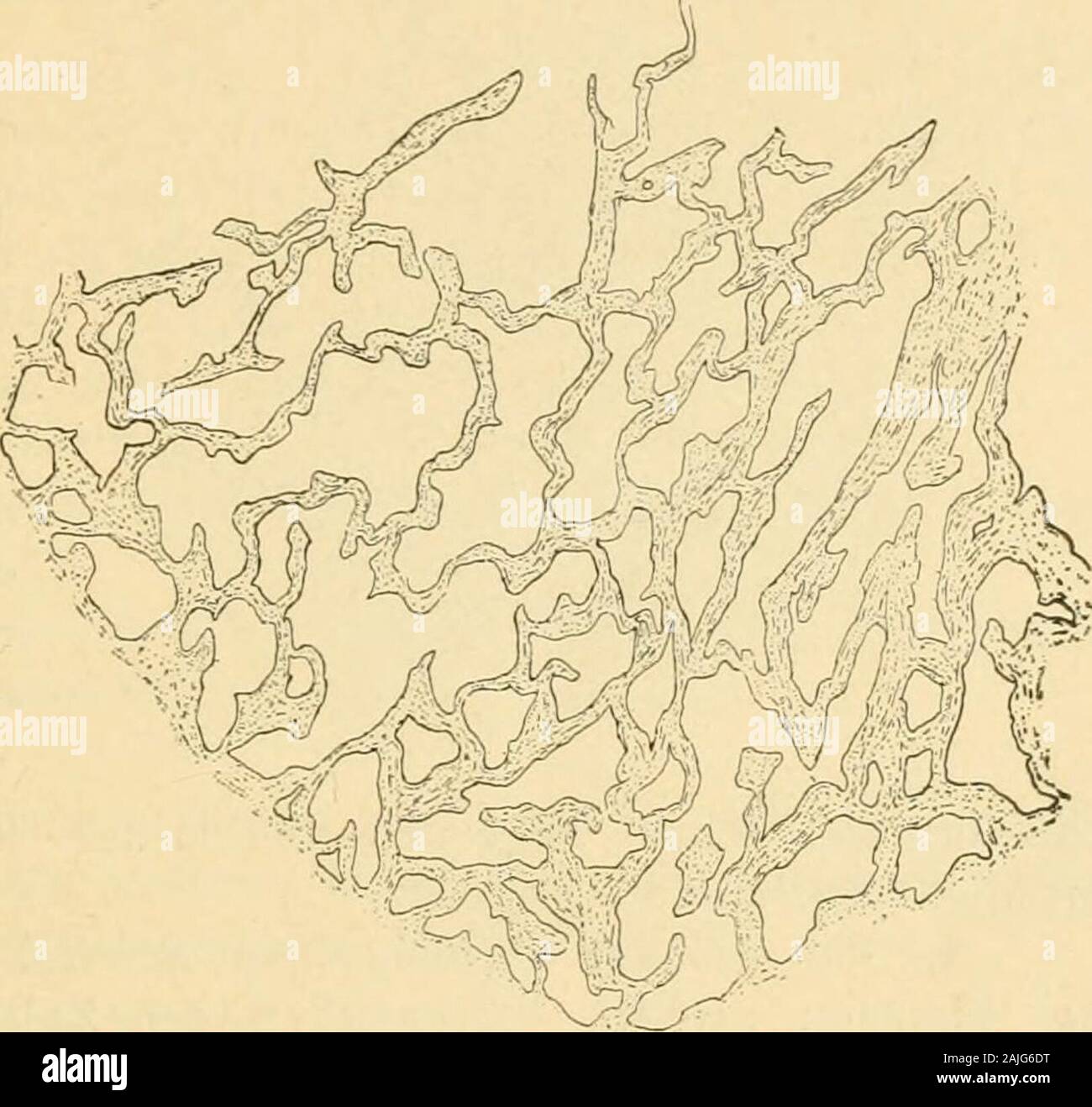 Wanddicke hires stock photography and images Alamy