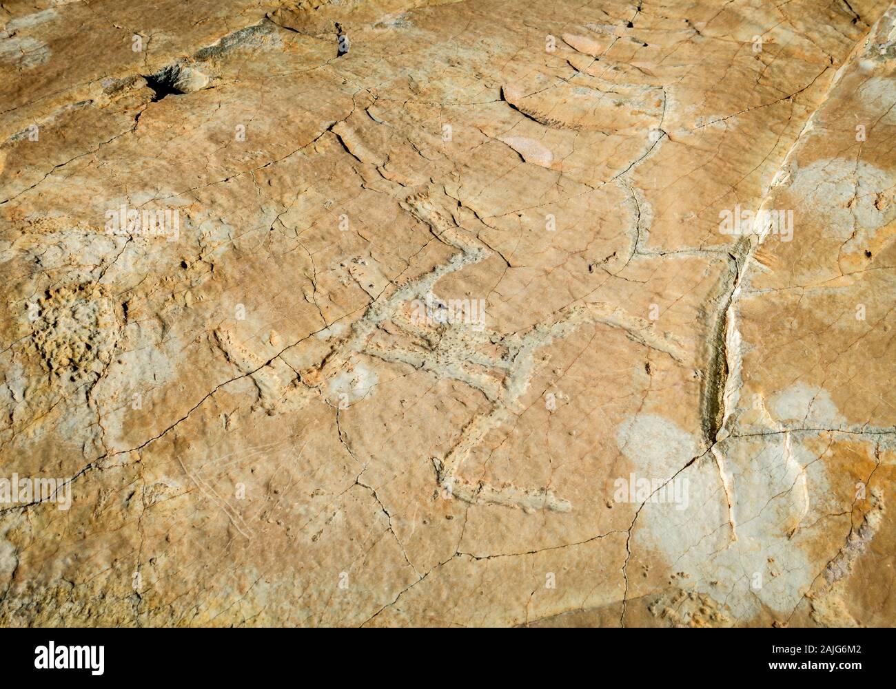 Valley of marvels, Mercantour National Park, France: Rock art, prehistoric Bronze Age petroglyphs, anthropomorphic figures Stock Photo