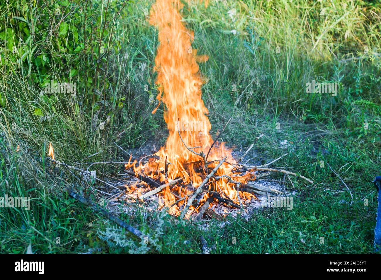 Campfire prepared for barbecue in a forest Stock Photo