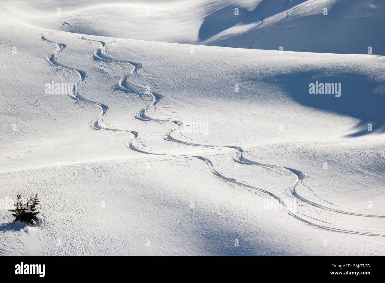 Italian Alps, snowy scenery: Twin snowboard trails carved in fresh snow. Christmas background. Free ride ski, freeride Stock Photo