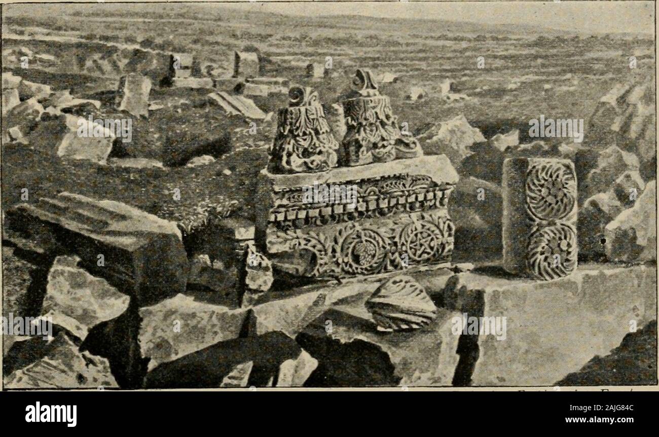 The Art Bible, Comprising The Old And New Testaments : With Numerous  Illustrations . We Never Saw It On This Fashion. 13 And He Went Forth Again  By The Sea-Side :And All