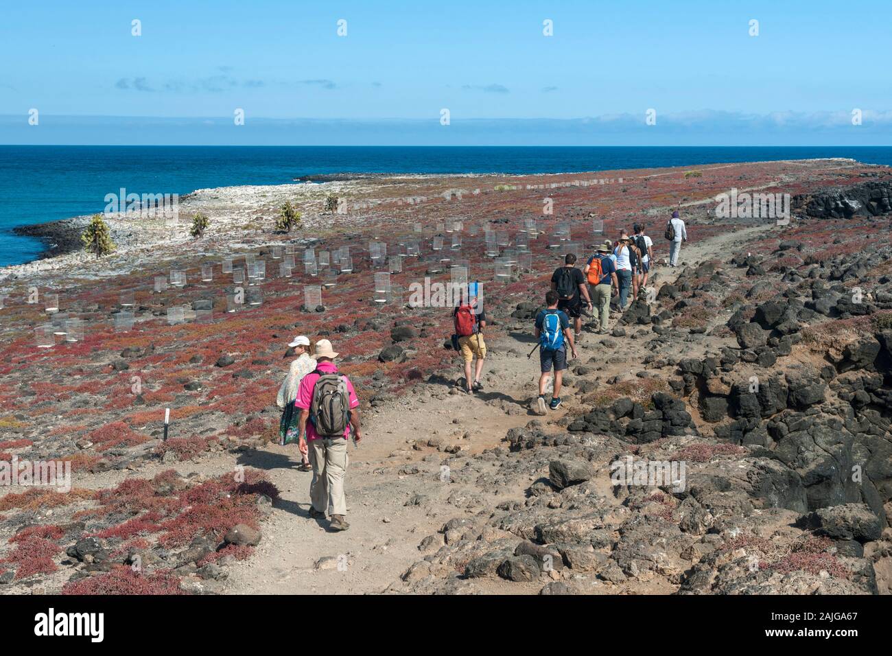 Tourists walking on South Plaza island, Galapagos, Ecuador. Stock Photo