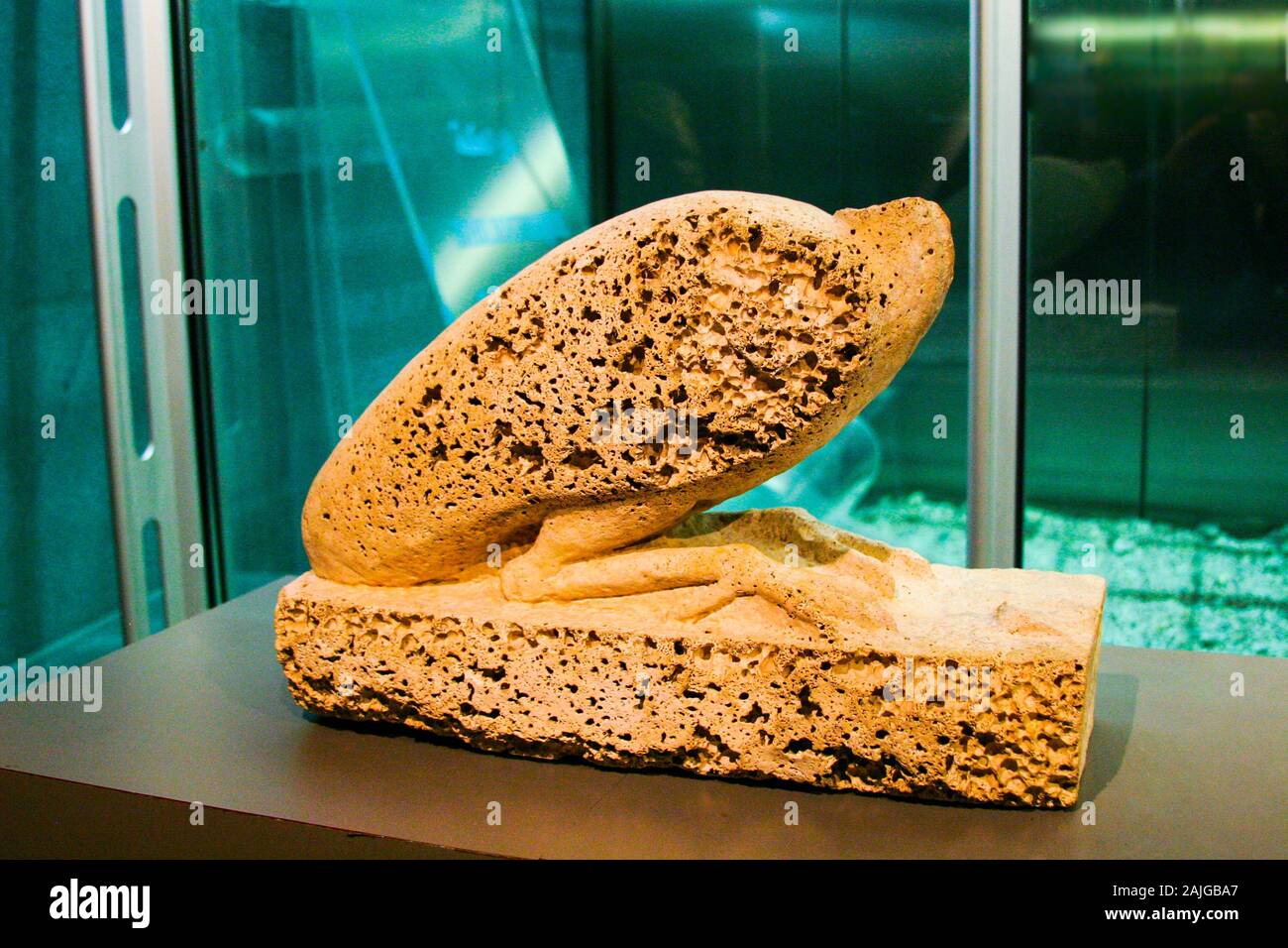 Egypt, Alexandria, Archeological museum of the Bibliotheca Alexandrina, statue of an ibis, corroded by water.  Limestone. Stock Photo