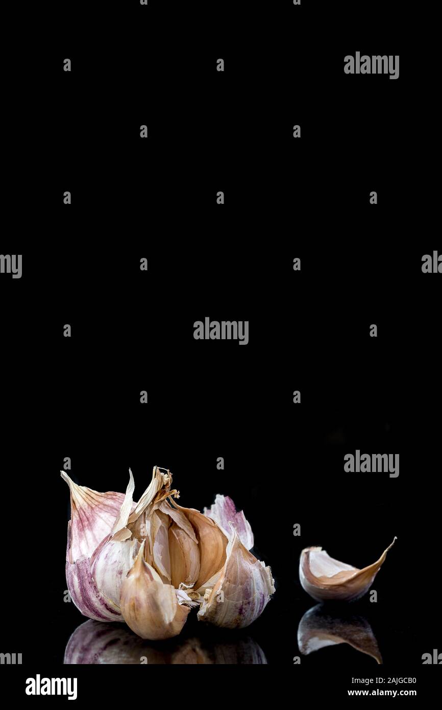 Whole garlic bulb close-up isolated on black background. Stock Photo