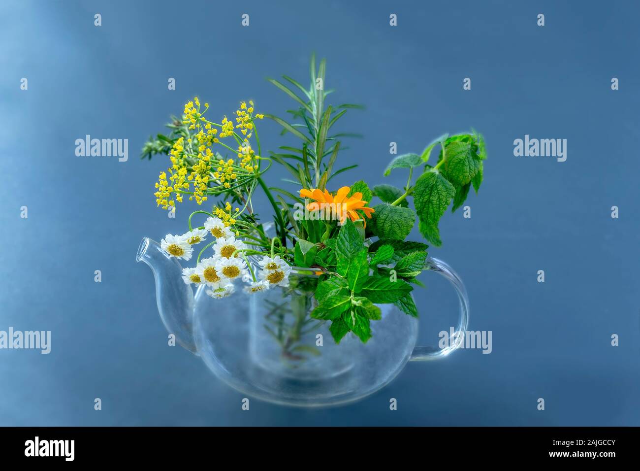 Tea-pot of herbal tea plant and, flowers isolated on white background Stock Photo