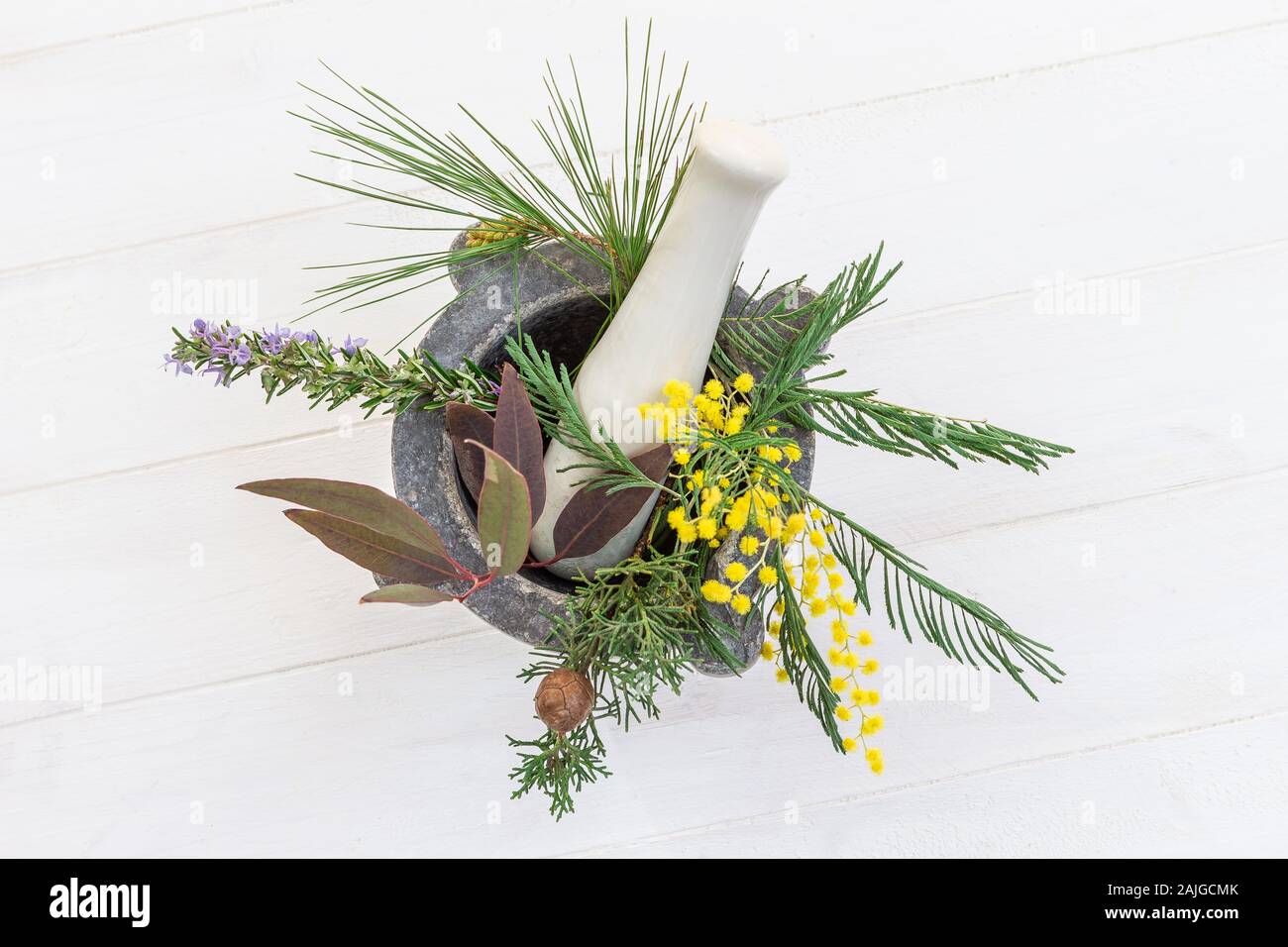 Herbal therapy: medicinal plant and trees for healthy living. Stock Photo