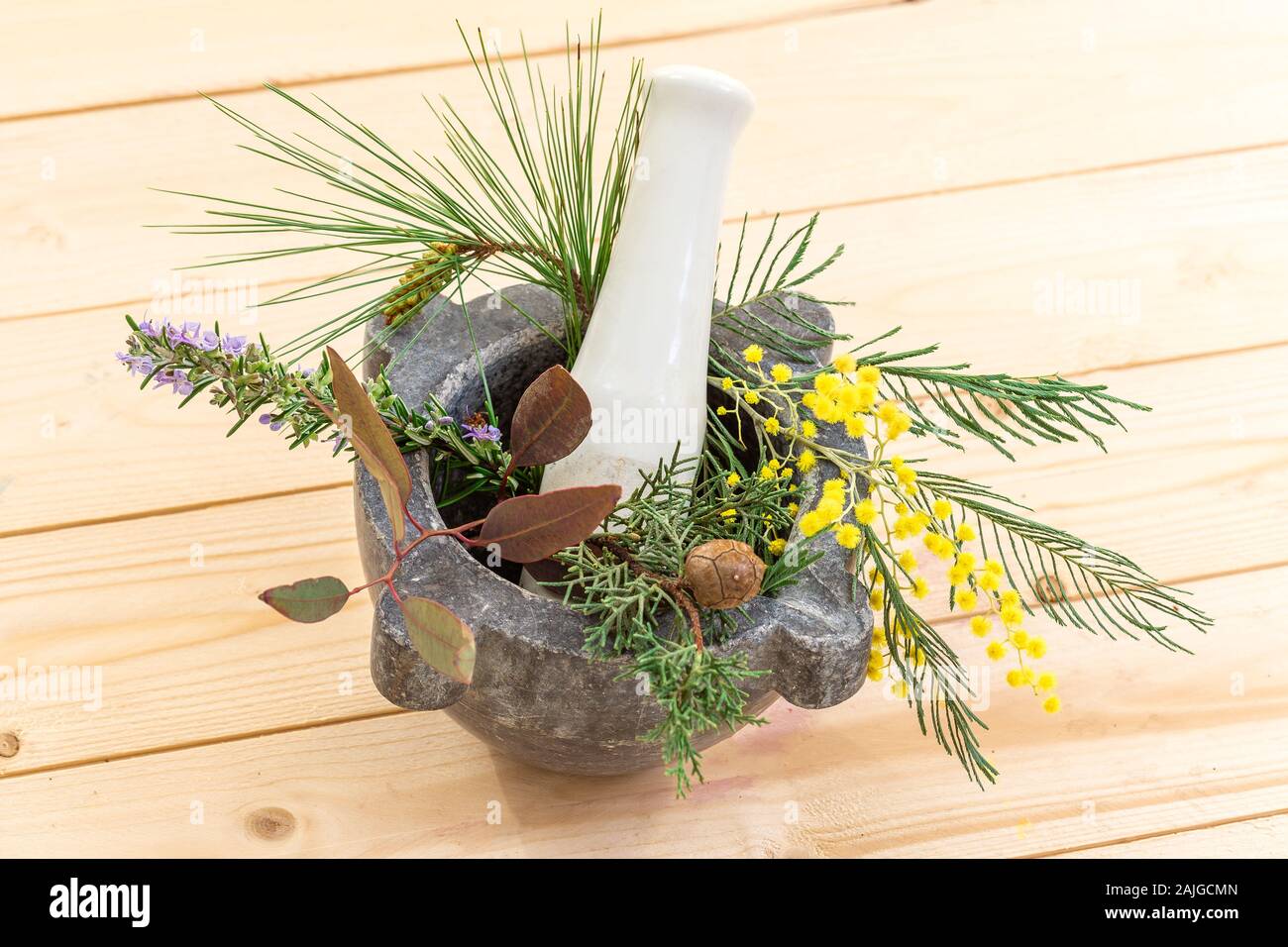 Herbal therapy: medicinal plant and trees for healthy living. Stock Photo