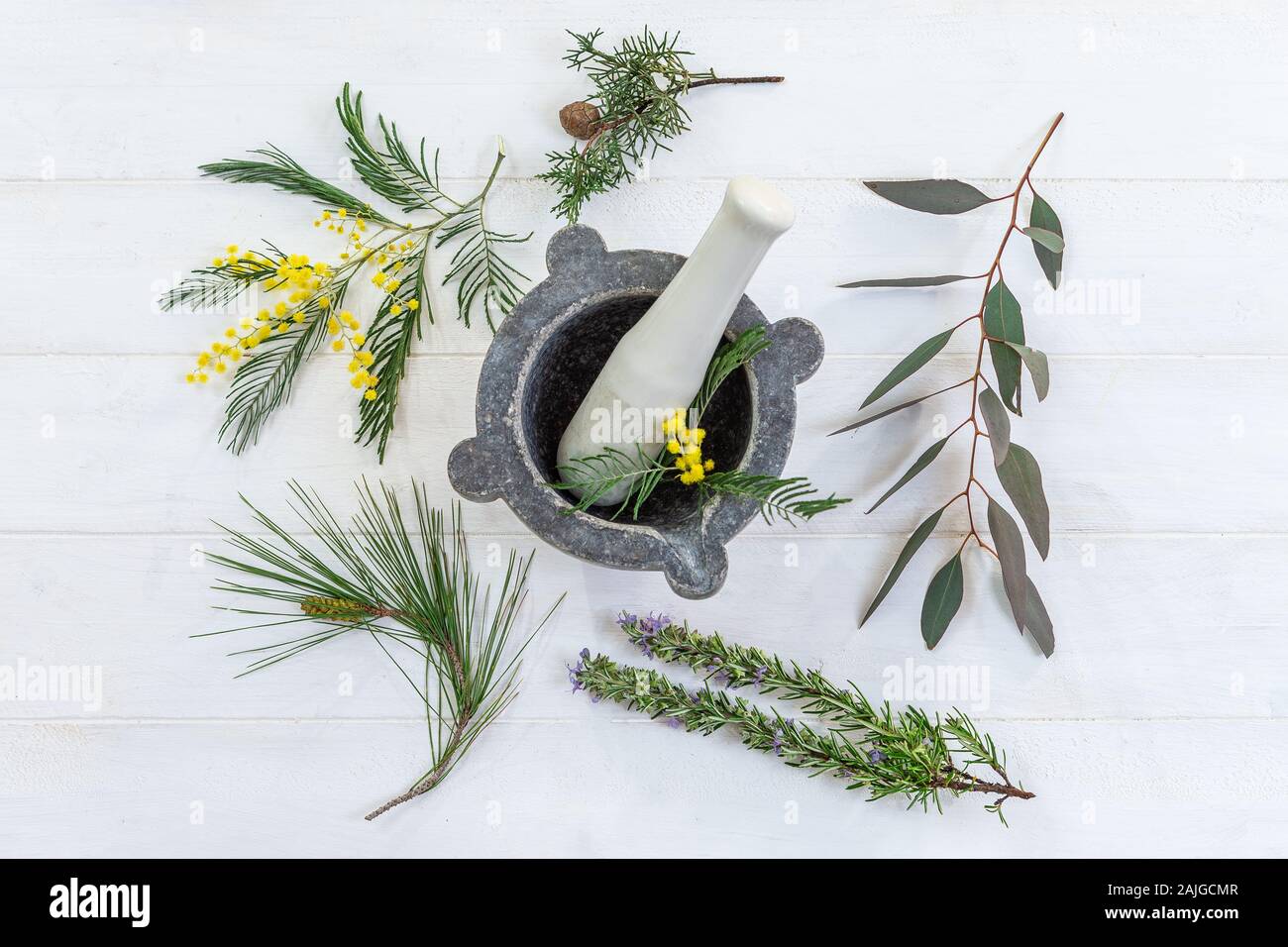 Herbal therapy: medicinal plant and trees for healthy living. Stock Photo