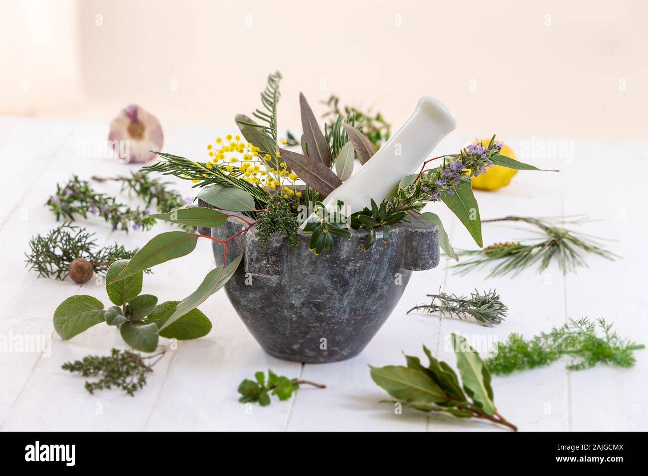 Herbal therapy: medicinal plant and trees for healthy living from corsica Stock Photo