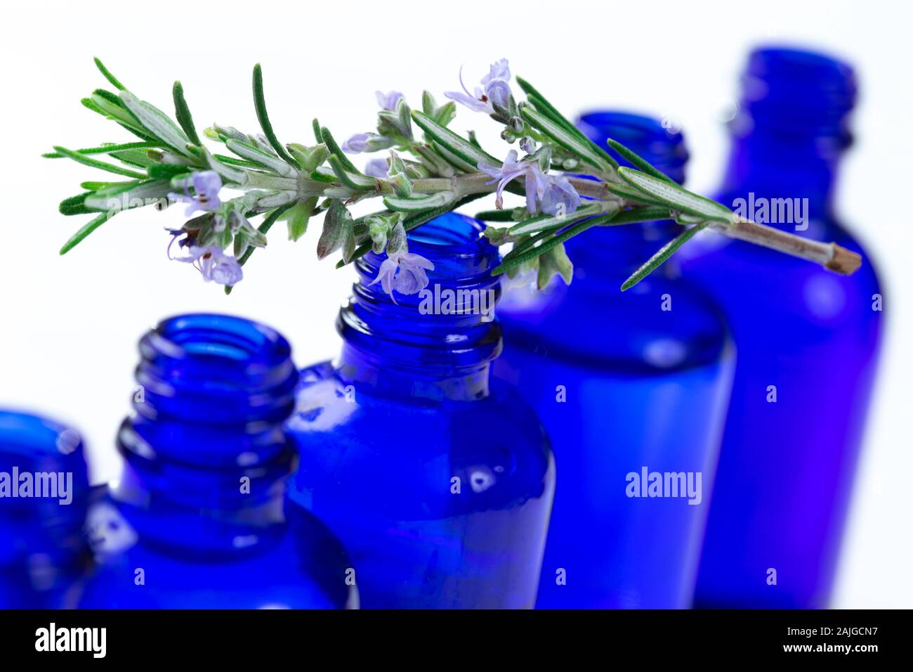 Rosemary in flower on top of an aromatherapy essential oil blue glass bottle , over white background Stock Photo
