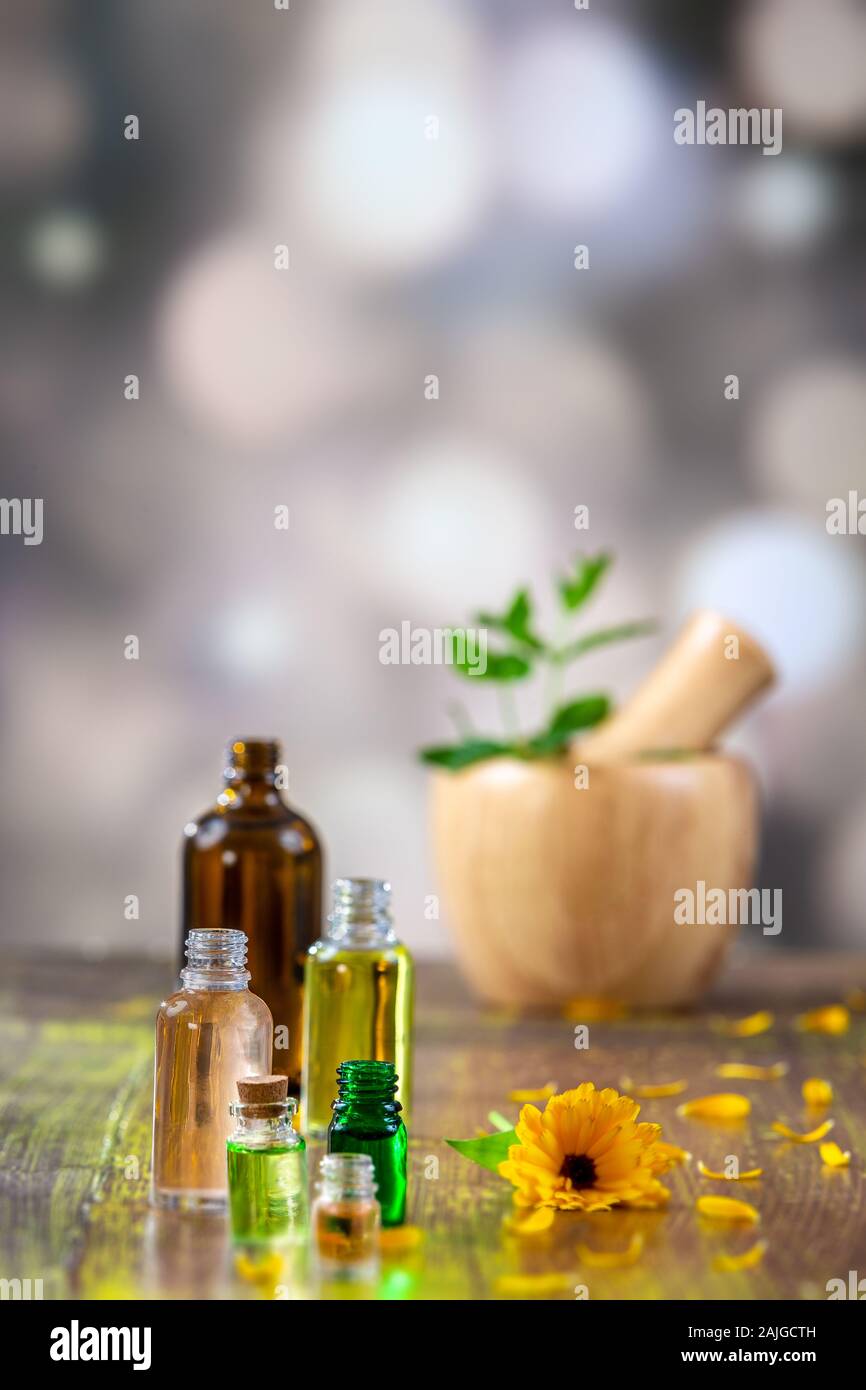 Calendula Stock Photo