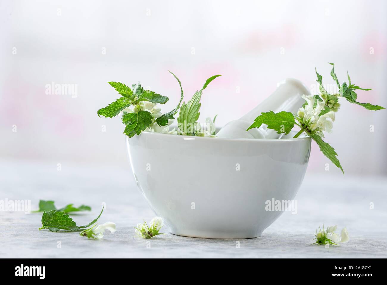 Phytotherapy Stock Photo