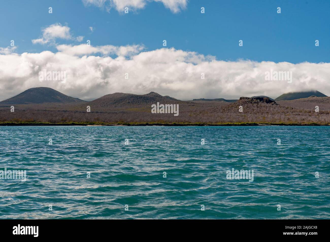Floreana island, Galapagos, Ecuador. Stock Photo