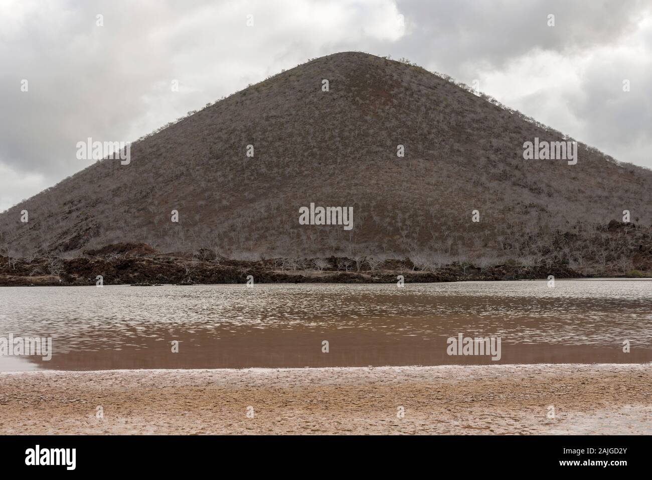 Cormorant point, Floreana island, Galapagos, Ecuador. Stock Photo