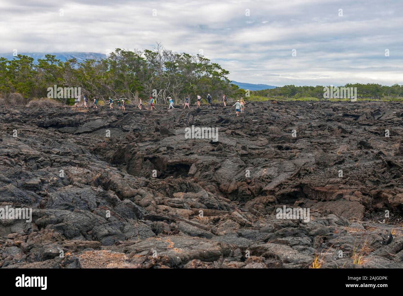 Tourists walking on the volcanic landscape at Punta Moreno on Isabela