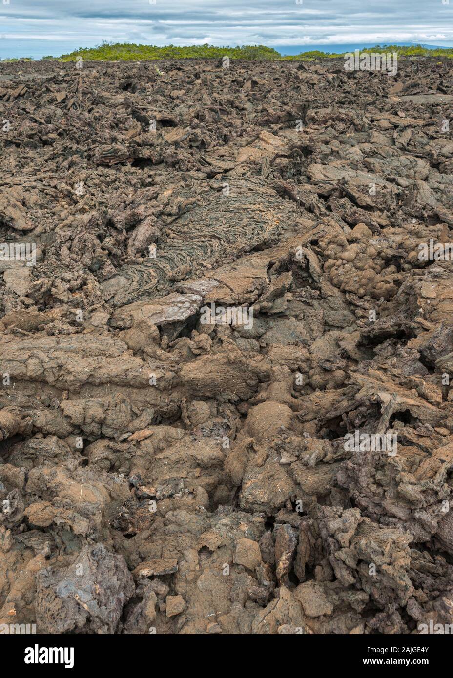The volcanic landscape at Punta Moreno on Isabela island, Galapagos