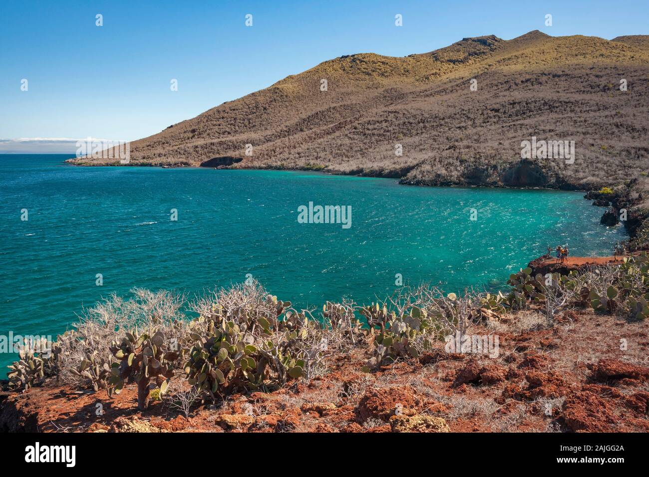 Landscape of Rabida island, Galapagos, Ecuador. Stock Photo