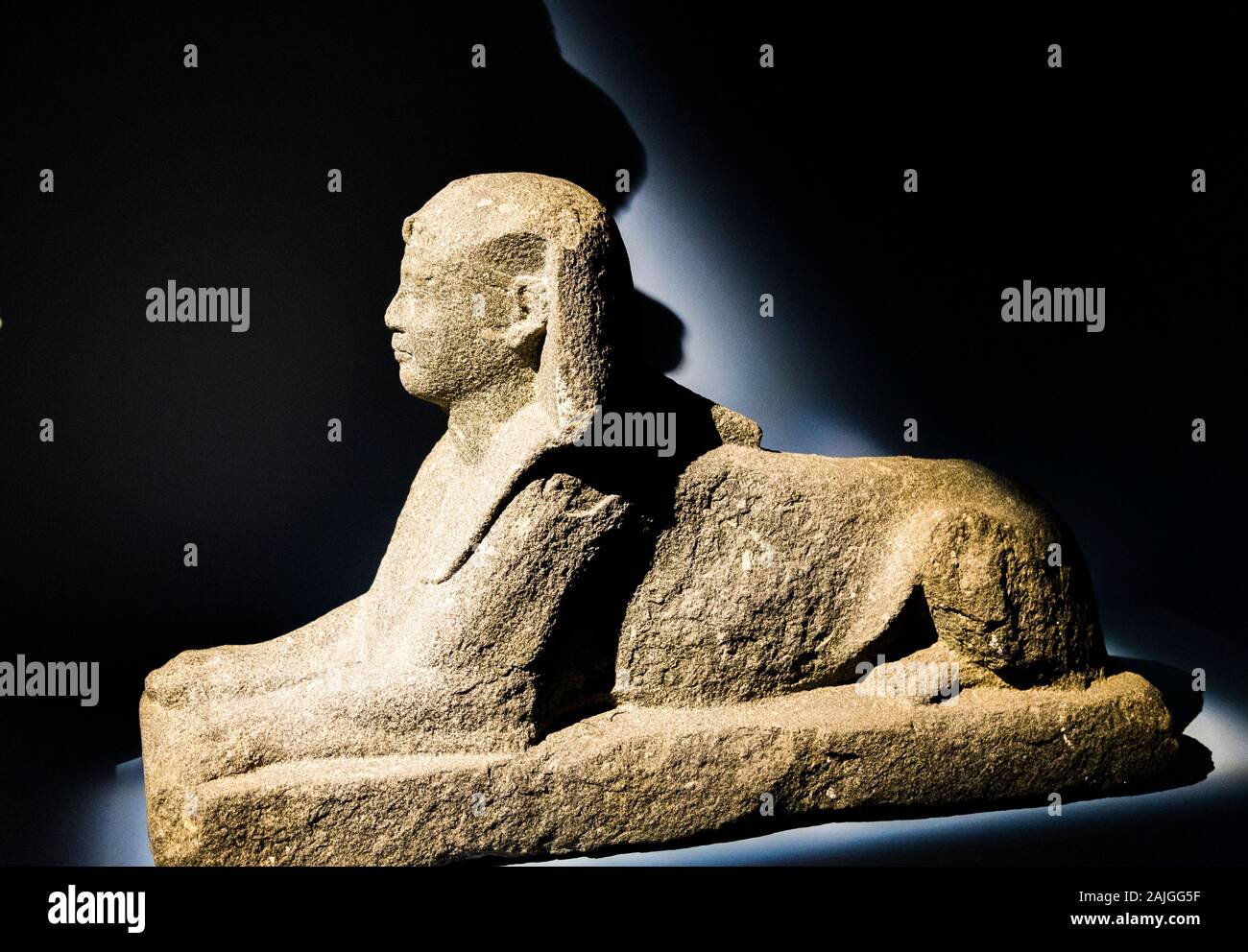 Photo taken during the opening visit of the exhibition “Osiris, Egypt's Sunken Mysteries”. Egypt, Alexandria, National Museum, a ptolemaic sphinx. Stock Photo