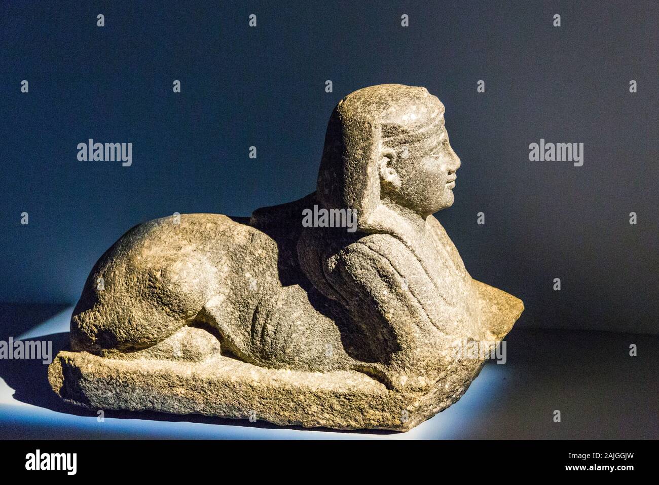 Photo taken during the opening visit of the exhibition “Osiris, Egypt's Sunken Mysteries”. Egypt, Alexandria, National Museum, a ptolemaic sphinx. Stock Photo