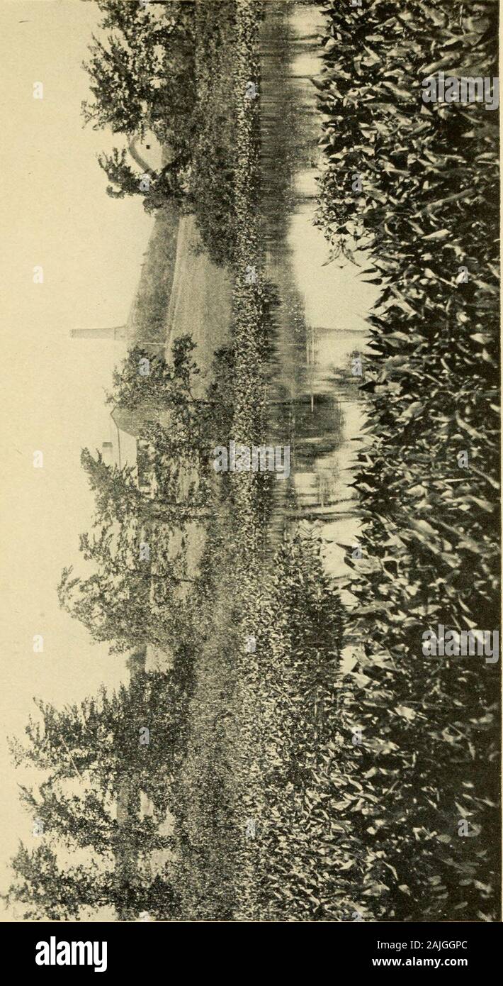 Plymouth colony 1630 hires stock photography and images Alamy