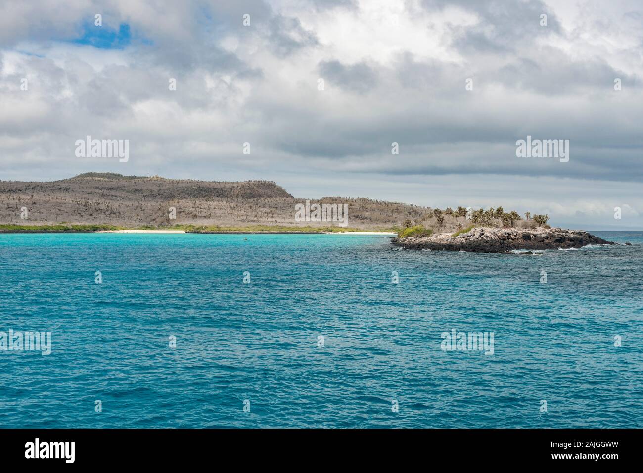 Sante Fe island, Galapagos, Ecuador. Stock Photo