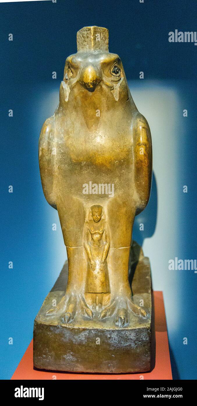 Photo taken during the opening visit of the exhibition “Osiris, Egypt's Sunken Mysteries”. Egypt, Cairo, Egyptian Museum, statue of a falcon. Stock Photo