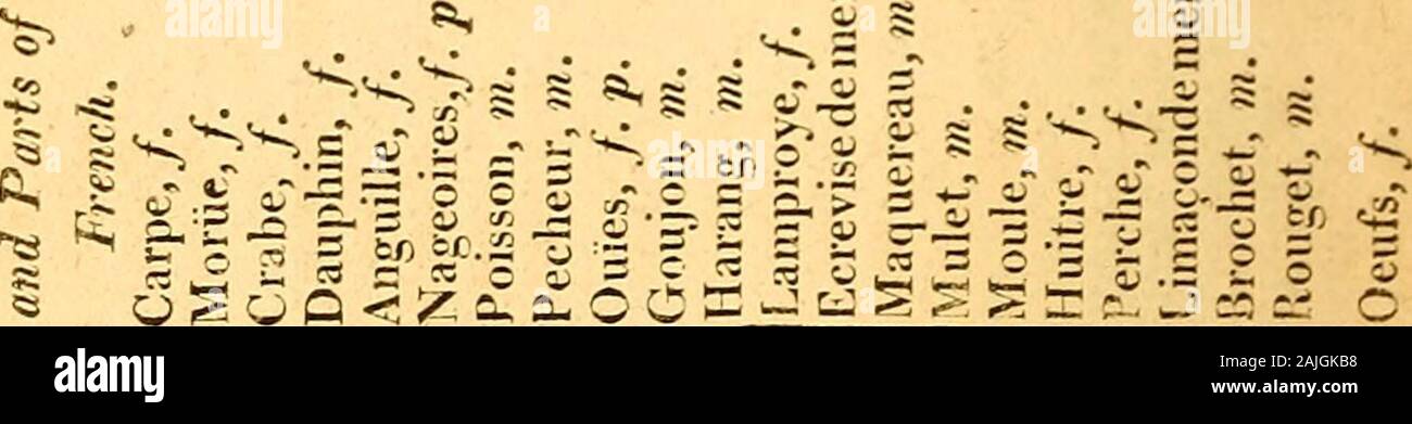 A Vocabulary In The English Latin German French Italian Spanish And Portuguese Languages T Gt A A Z H 1 I J Tfj G Y Fi O A Vocabulary In The English Latin German French Italian Spanish And Portuguese Languages T Gt A A Z H 1 I J Tfj G Y Fi O