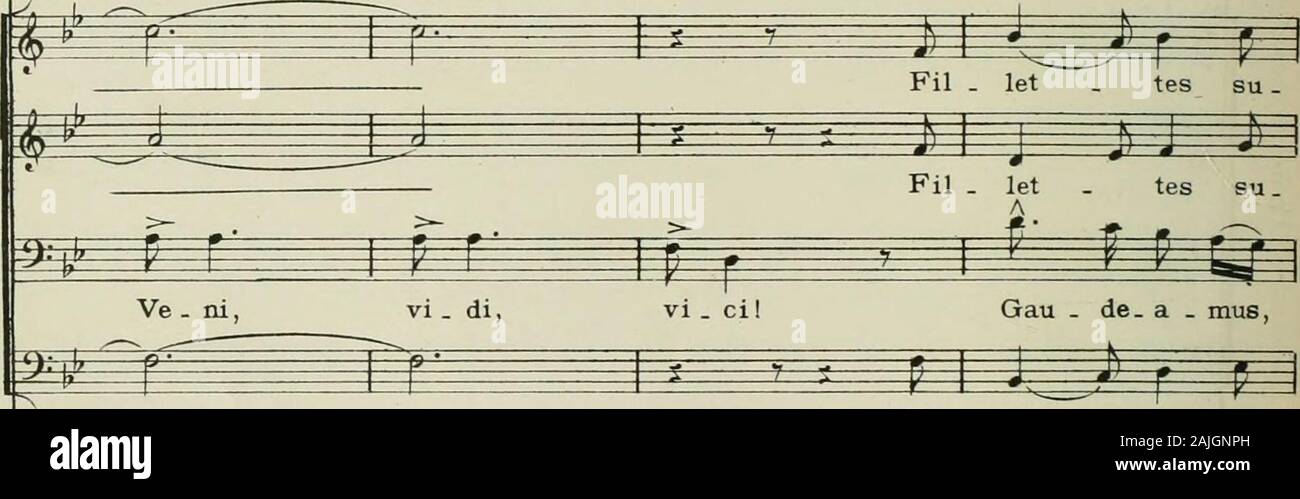 Page 395 F E M A High Resolution Stock Photography And Images Alamy Page 395 F E M A High Resolution Stock Photography And Images Alamy