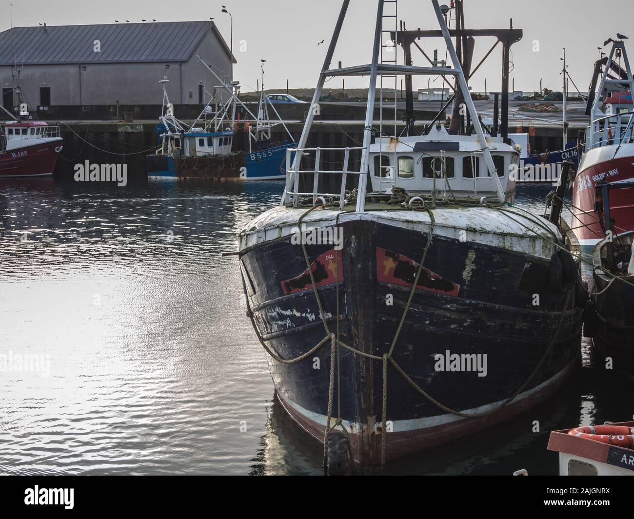 Fishing Boats Northern Ireland Stock Photos & Fishing Boats Northern ...