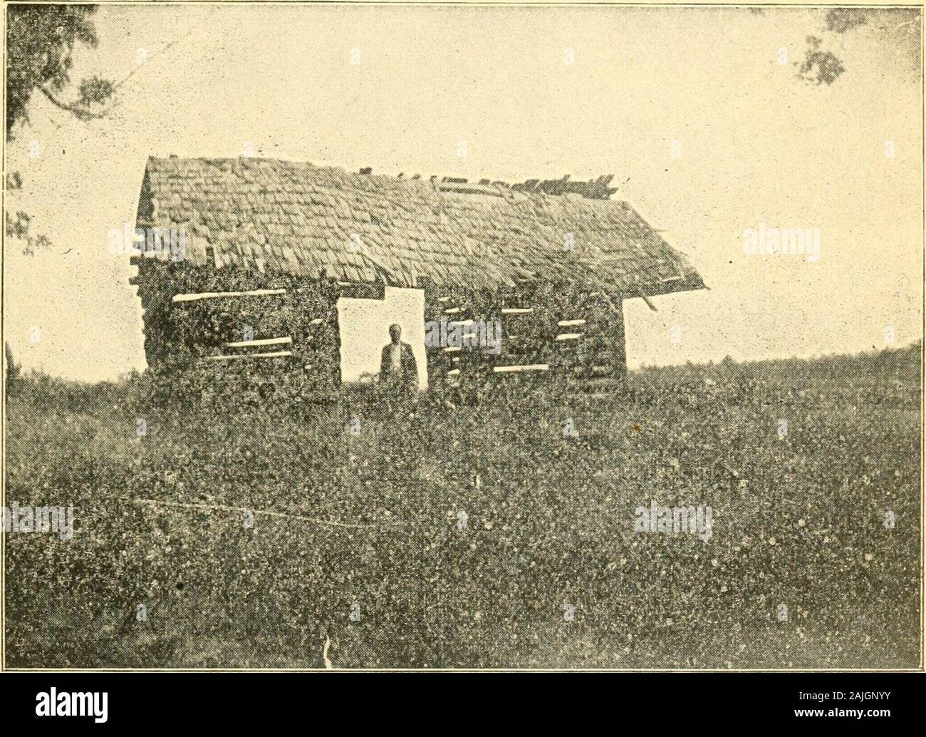 In 1905 Stock Photos In 1905 Stock Images Page 25 Alamy