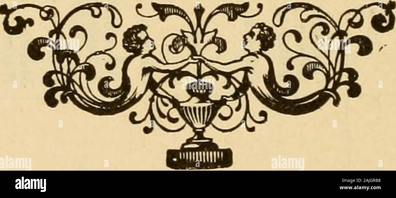 Page 2 Gill High Resolution Stock Photography And Images Alamy